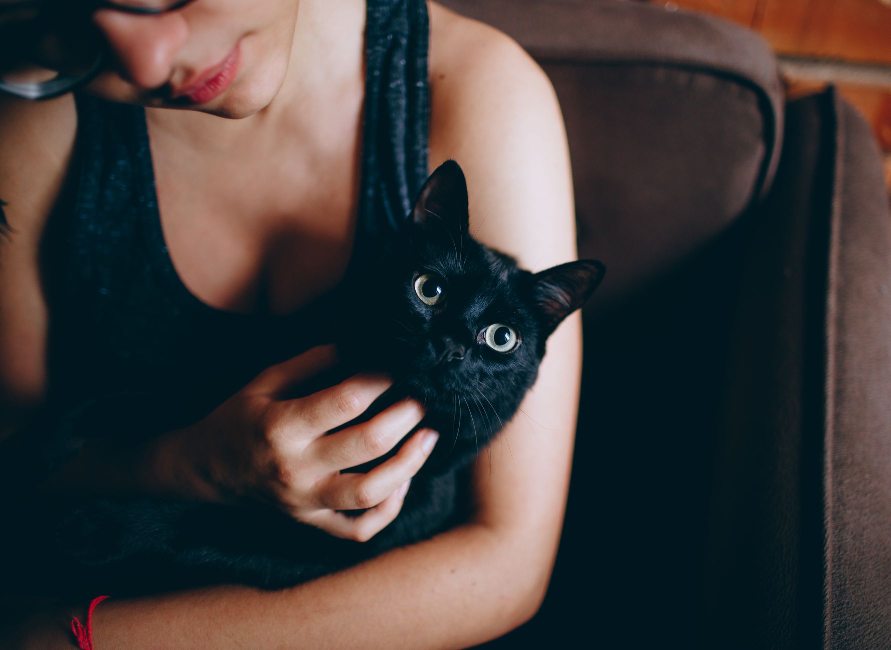 Assurance santé animale